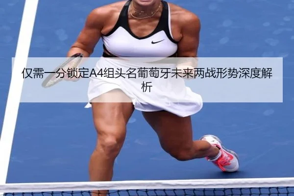 仅需一分锁定A4组头名葡萄牙未来两战形势深度解析（im-SPORTS）
